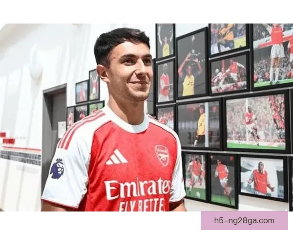 以迪尼称阿森纳再丢冠球迷有责